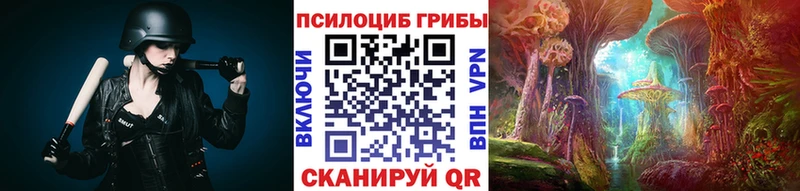 Галлюциногенные грибы Psilocybe  закладки  Козельск 